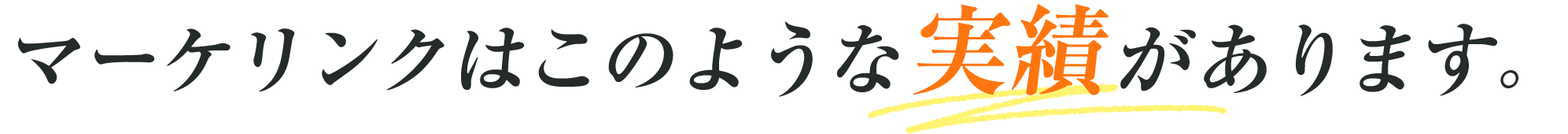 マーケリンクはこのような実績があります。
