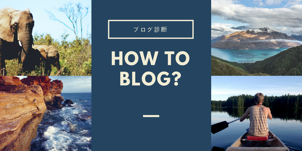 ブログ診断