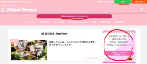 収益化ポイント
